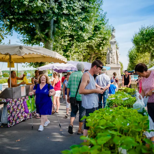 Marche Ville Port Canal Montceau Les Minesambigram Franck Juillot Creusotmontceautourisme 4