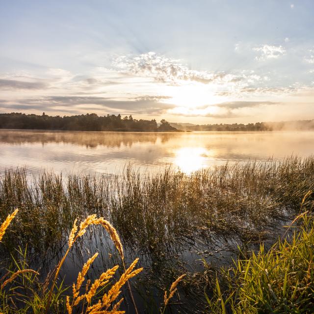 Barrrage Lac De La Sorme Blanzy