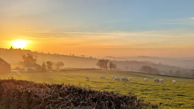 Gourdoncmt Lucie Vallet 6