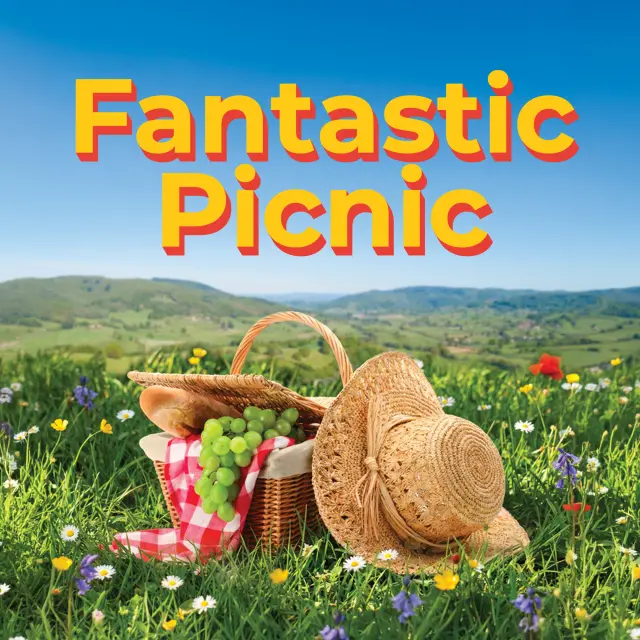 Bannière Fantastic Picnic 2026 mobile.